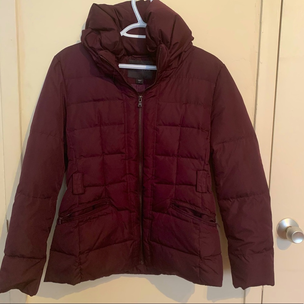 Purple Coat
